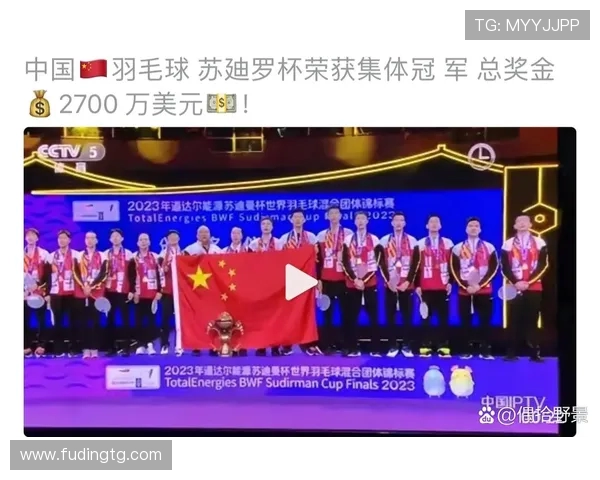 北京羽毛球队在杯赛中的经验与表现分析探讨